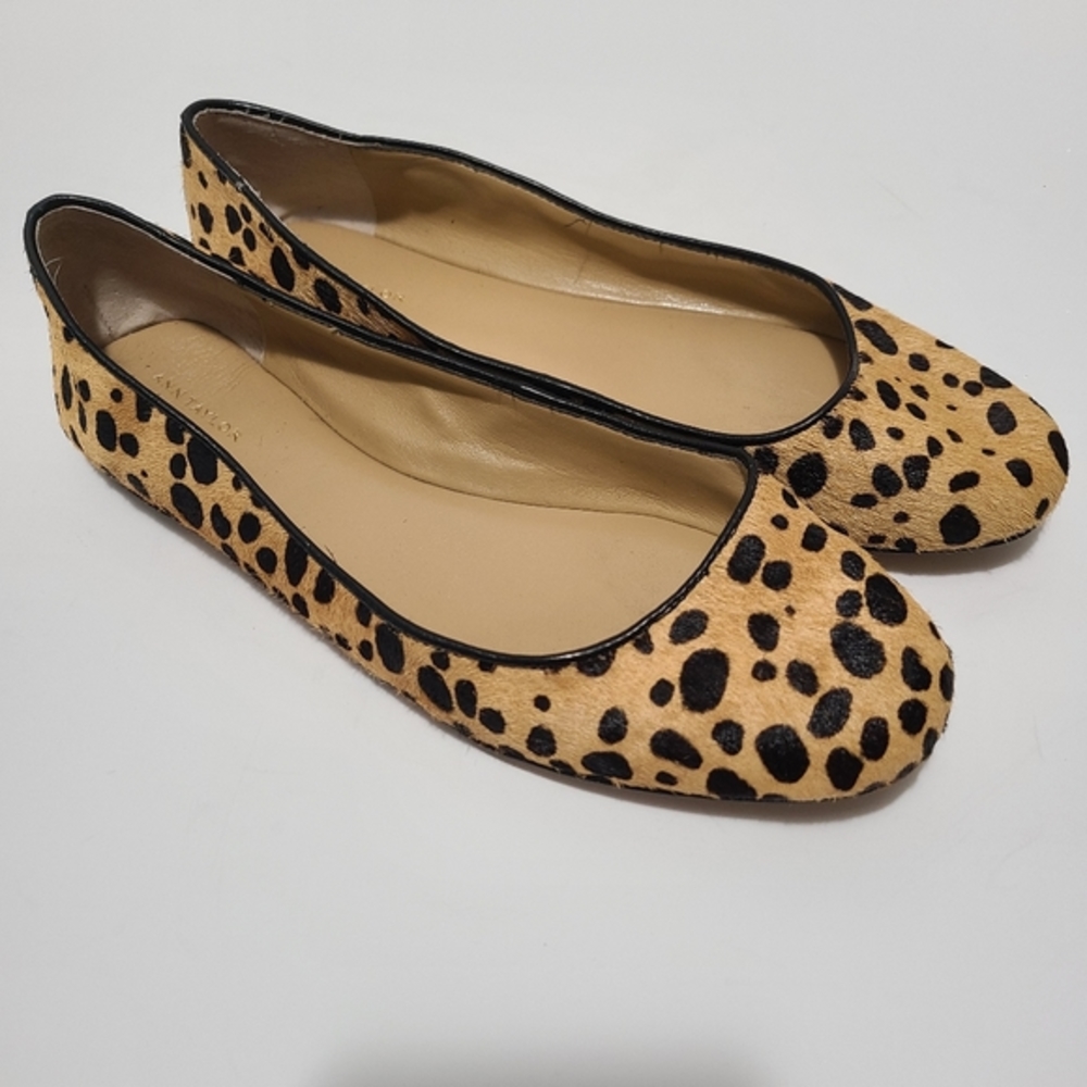 Ann‎ Taylor Janine Haircalf Ballet Flat Leopard Size 7.5